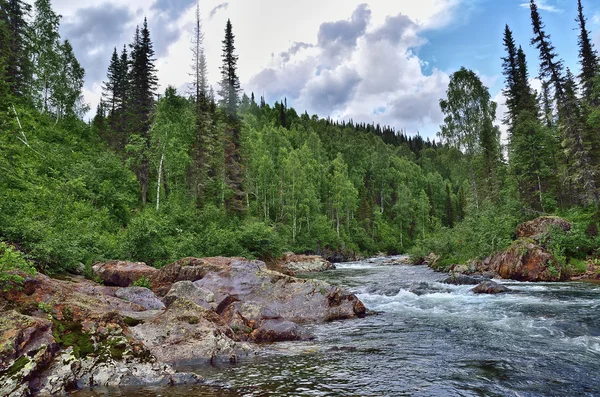 Fast flowing mountain river among dense forests and huge stones — Stock Photo, Image