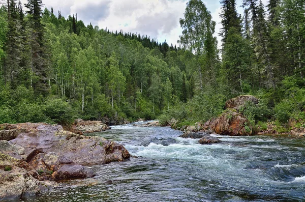 Fast flowing mountain river among dense forests and huge stones — Stock Photo, Image