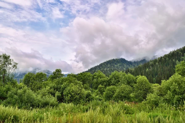 Paisaje de verano en las montañas con hermosas nubes bajas —  Fotos de Stock