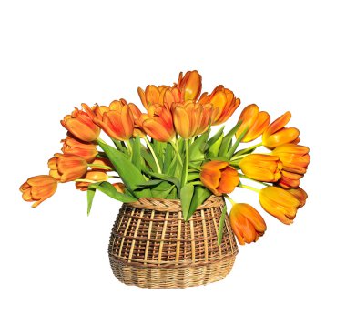Hasır sepet içinde portakal Lale buket bahar