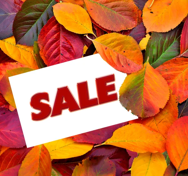 Autumn sale poster — Stock Photo, Image