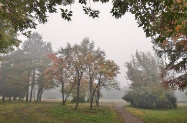 Sisli sonbahar Şehir Parkı sabah