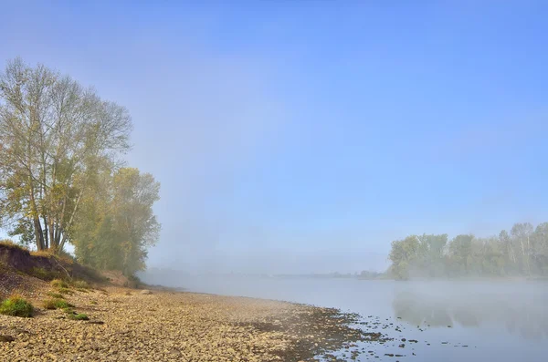 Nebliger Herbstmorgen am Ufer des Flusses — Stockfoto