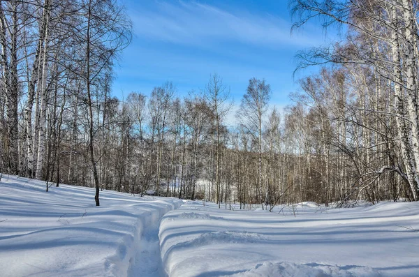 Merveilleux Paysage Hivernal Sentier Étroit Dans Neige Profonde Menant Forêt — Photo