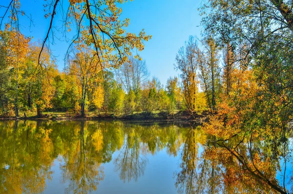 Gölün Etrafındaki Güz Ağaçlarının Altın Yaprakları Mavi Sulara Yansıyor Açık — Stok fotoğraf