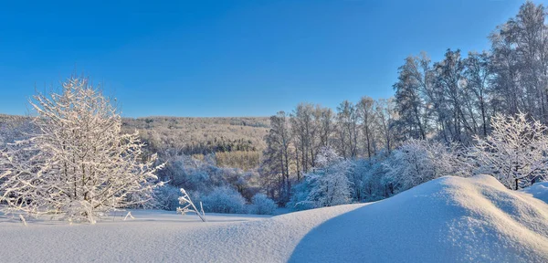Сказочная Красота Зимнего Пейзажа Панорамный Вид Белый Пушистый Снежный Лес — стоковое фото