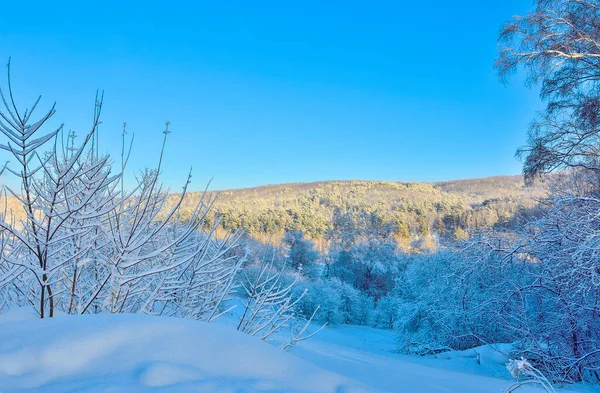 Сказочная Красота Зимнего Пейзажа Белый Пушистый Снежный Лес Холмах Светящийся — стоковое фото