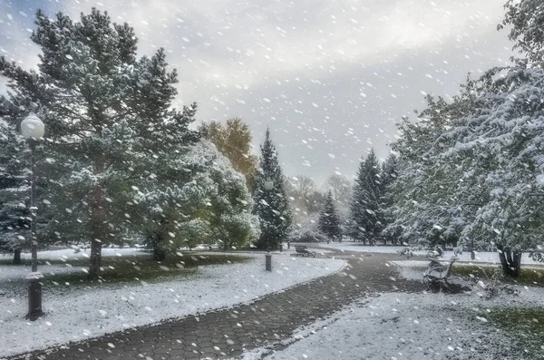 Pierwsze Opady Śniegu Kolorowym Jesiennym Parku Miejskim Białe Puszyste Śnieg — Zdjęcie stockowe