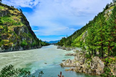 Çemal Nehri 'nin Katun Nehri' ne aktığı güzel güneşli yaz manzarası. Kayalık kıyıları, kozalaklı ormanları, Altai dağları, Rusya