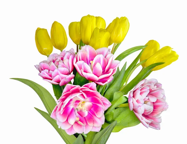 Eleganter Strauß Frühlingshafter Gelber Und Rosa Weißer Tulpenblüten Auf Weißem — Stockfoto