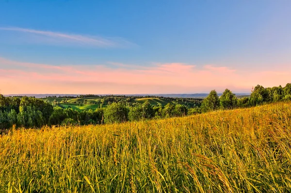 Coucher Soleil Rose Sur Prairie Été Montagne Herbe Dorée Premier — Photo