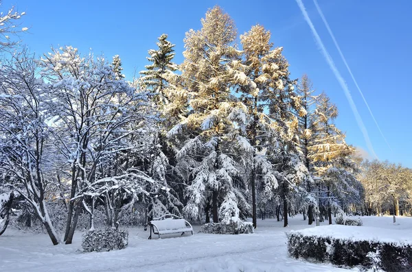 Winter landscape of city park — Stock Photo, Image