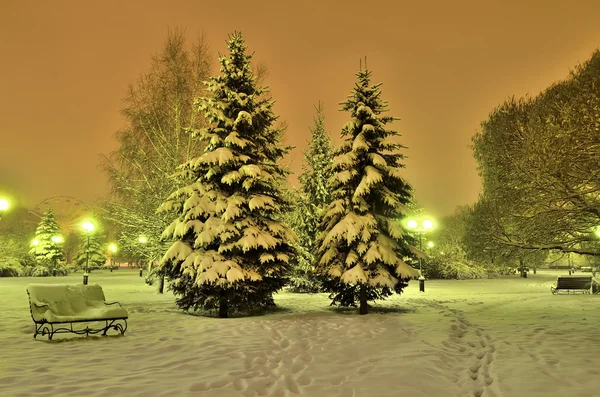 Soirée romantique d'hiver dans un parc urbain — Photo