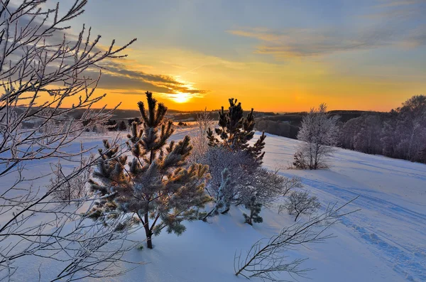 Une beauté du paysage rural hivernal — Photo