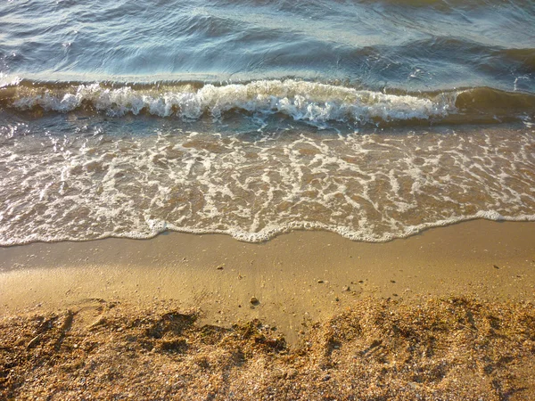 Affectionate sea wave on a sandy beach — Stock Photo, Image