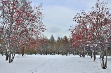 Şehir Parkı ilk kar.