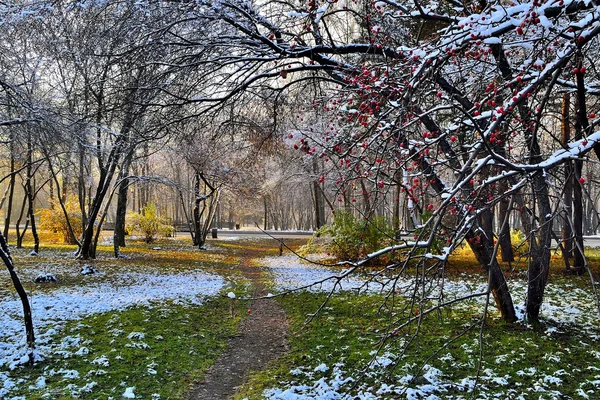 Erster Schnee im Stadtpark — Stockfoto