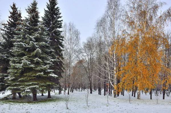 First snowfall in city park - meeting the fall and winter — Stock Photo, Image