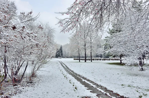 First snowfall in a city park — Stock Photo, Image