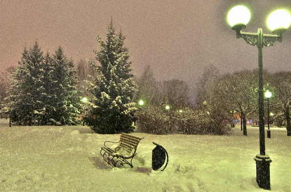 Nieve en el parque nocturno de la ciudad — Foto de Stock