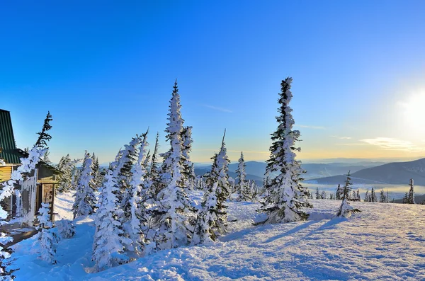 Mañana de invierno helada en las montañas —  Fotos de Stock