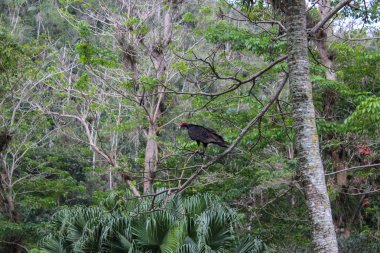 Şehirler ve Küba'nın kumsalları ile güzel bir yolculuk