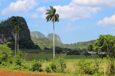 Şehirler ve Küba'nın kumsalları ile güzel bir yolculuk