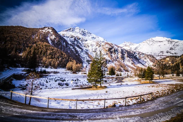 Il bellissimo paesaggio delle Alpi — Foto Stock