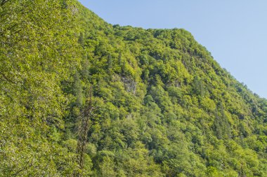 Dağların güzel manzarası