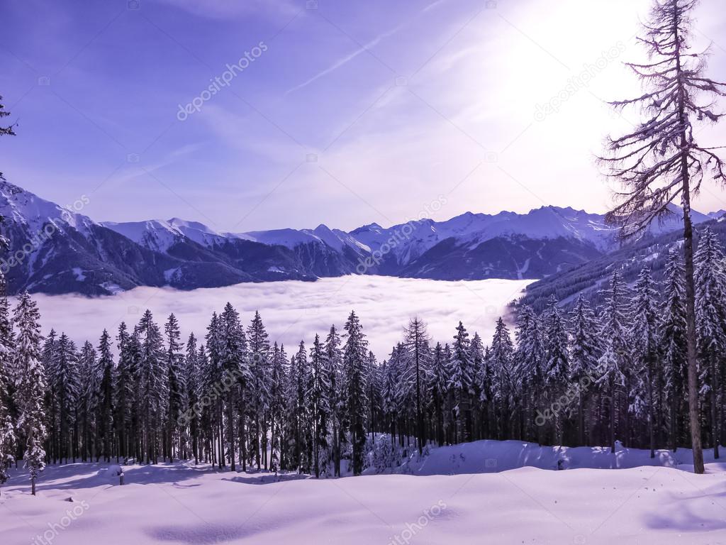 Beautiful Alps mountains