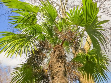 Rusya'nın güzel doğa