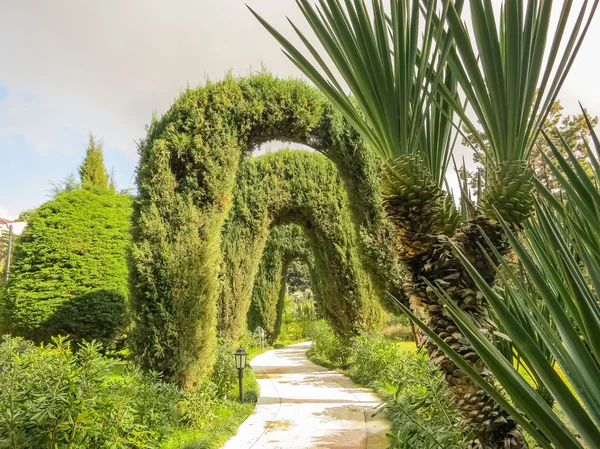 Hermosa naturaleza de Rusia — Foto de Stock