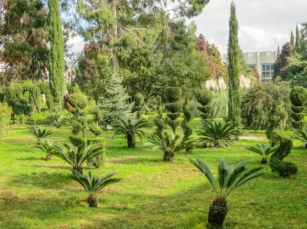 Hermosa naturaleza de Rusia — Foto de Stock