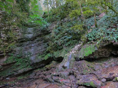 Rusya'nın güzel doğa