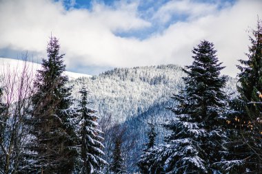 Karla kaplı dağlar ve ormanlar, doğa