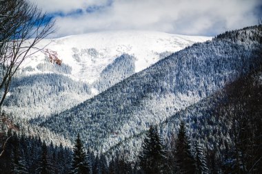 Karla kaplı dağlar ve ormanlar, doğa