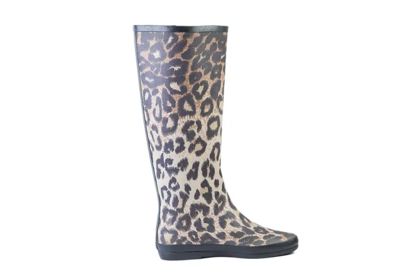 Kvinnliga leopard stövlar på en vit bakgrund, online försäljning katalog — Stockfoto