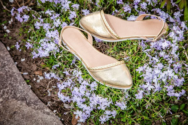 Gouden vrouwen sandalen met bloemen, reclame schoenen — Stockfoto