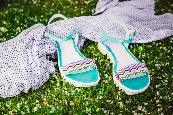 Kvinnors sandaler på en bakgrund av blommor — Stockfoto