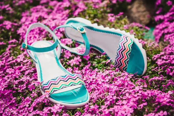 Kvinnors sandaler på en bakgrund av blommor — Stockfoto