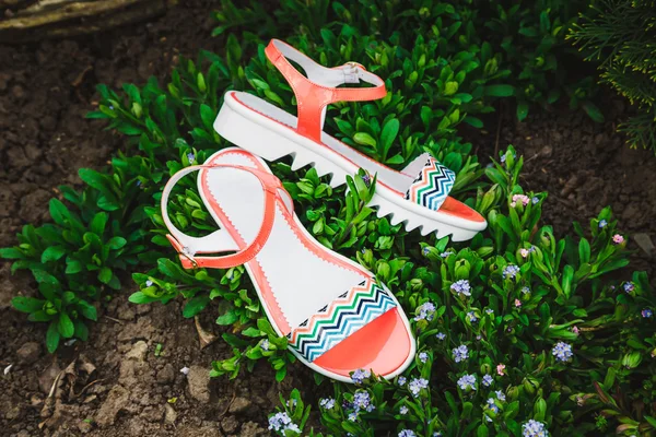 Sandalias de mujer sobre fondo de flores — Foto de Stock