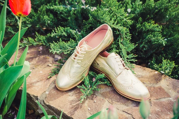 Altın Ayakkabı, İtalyan Ayakkabı, fotoğraf reklam, — Stok fotoğraf