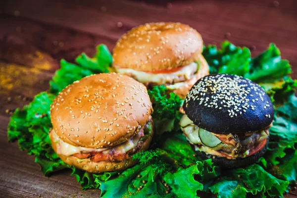 Dreiklang Burger und frische Kräuter, leckeres Essen — Stockfoto