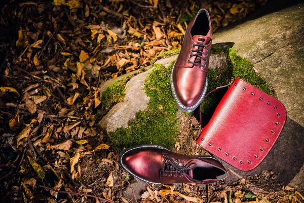 Italiaanse schoenen en rode vrouwelijke handtas op een rots in het bos — Stockfoto