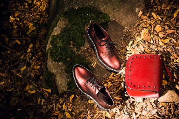 Chaussures italiennes et sac à main femme rouge sur un rocher dans la forêt — Photo