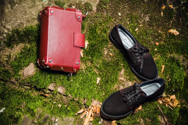 Zapatos negros italianos y bolso de mujer en una roca en el bosque — Foto de Stock