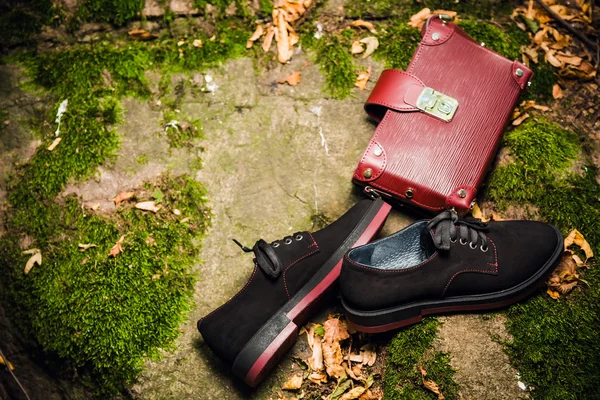 Chaussures noires italiennes et sac à main femme sur un rocher dans la forêt — Photo