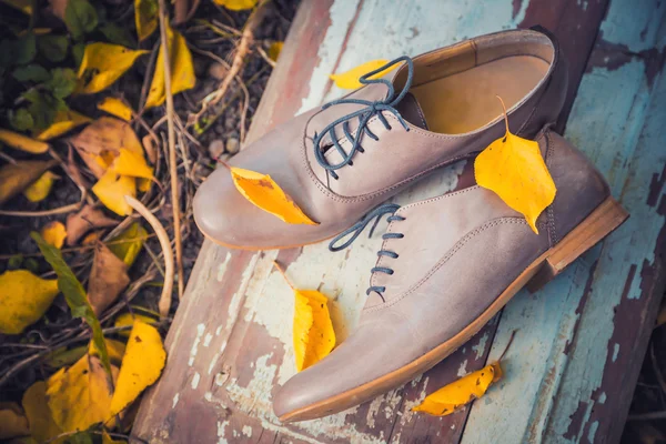 Zapatos para mujer se encuentran en un tablero de madera cerca de las hojas amarillas — Foto de Stock