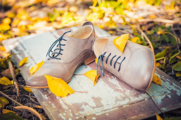 Sapatos femininos jazem em uma placa de madeira perto das folhas amarelas — Fotografia de Stock