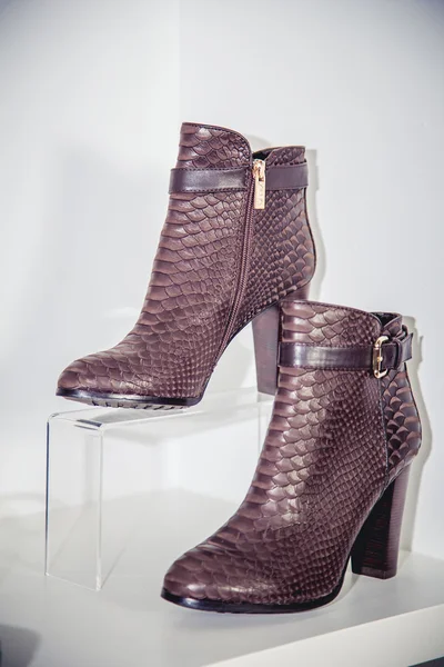 女性の秋ブーツ、スタイリッシュなイタリア製の靴 — ストック写真